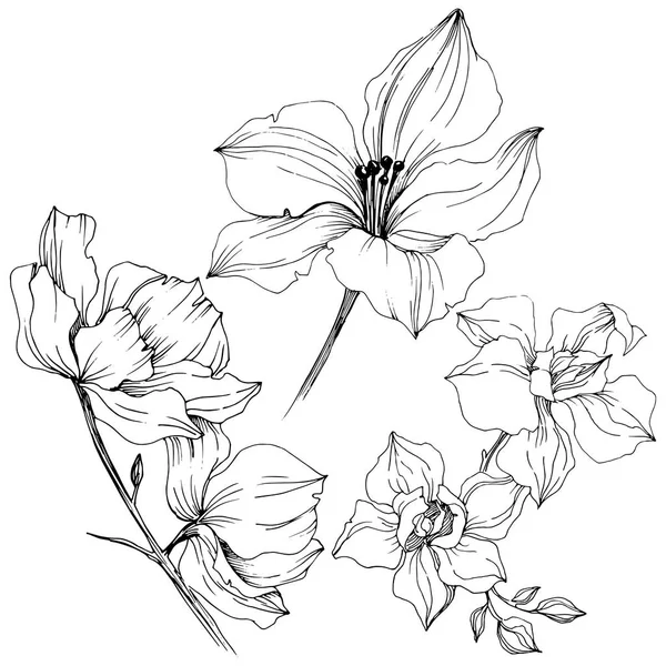 Vektor Orkidé Blomma Blommig Botaniska Blomma Isolerade Illustration Element Aquarelle — Stock vektor