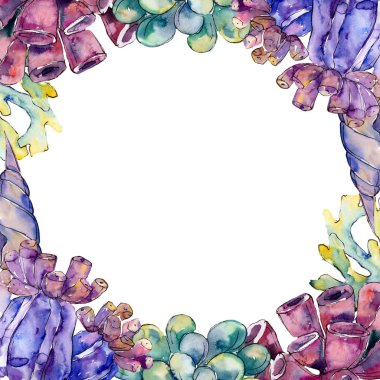 Renkli su sualtı doğa mercan kayalığı. Tropikal bitki deniz ve okyanus su hayat öğesi. Çerçeve kenarlığı süsleme Meydanı.