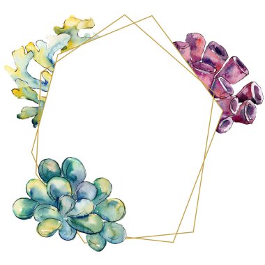 Renkli su sualtı doğa mercan kayalığı. Tropikal bitki deniz ve okyanus su hayat öğesi. Çerçeve kenarlığı süsleme Meydanı.