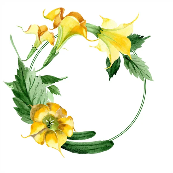 Akvarell Brugmansiya Gula Blommor Blommig Botaniska Blomma Ram Gränsen Prydnad — Stockfoto