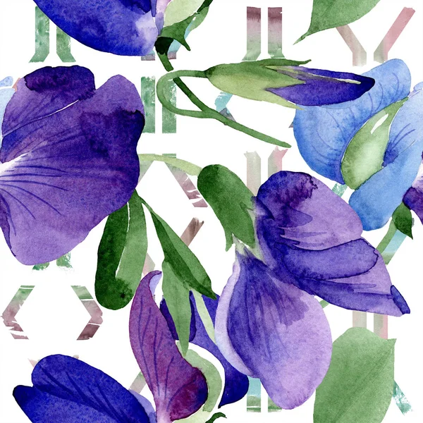 Acuarela Púrpura Flor Guisante Dulce Flor Botánica Floral Patrón Fondo —  Fotos de Stock
