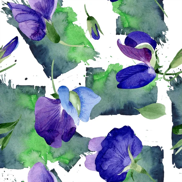 Акварель Фіолетова Солодка Горохова Квітка Квіткова Ботанічна Квітка Безшовний Візерунок — стокове фото