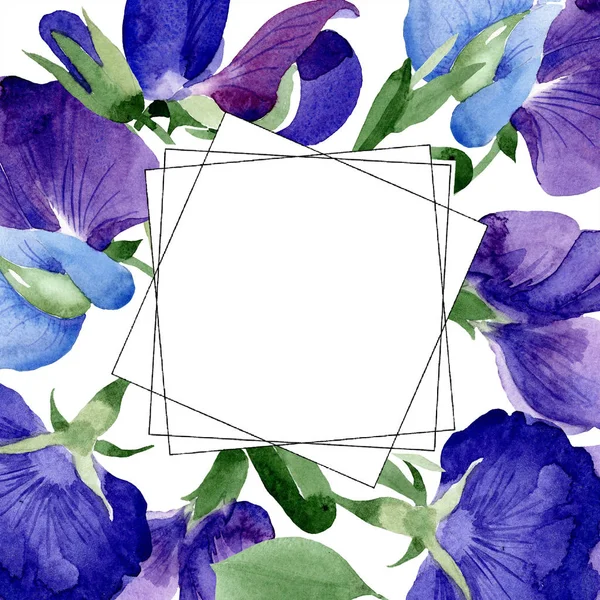 Watercolor Purple Sweet Pea Flower Floral Botanical Flower Frame Border — Stock Photo, Image