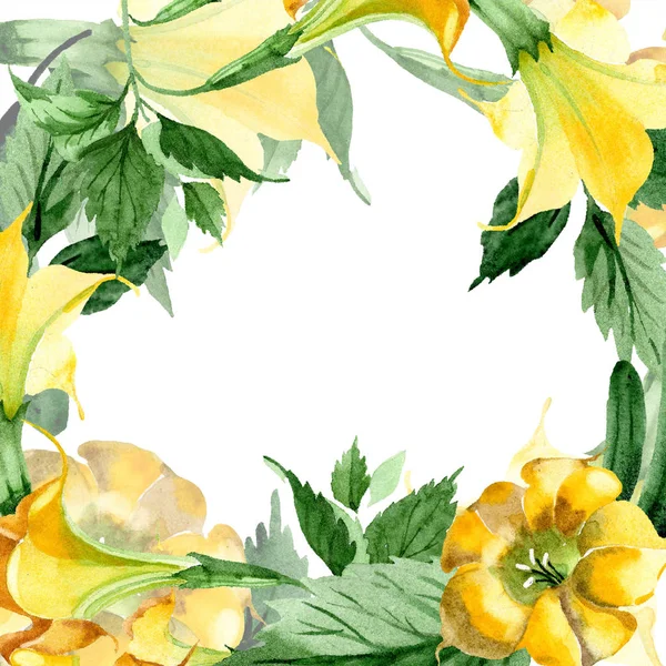 Aquarela Brugmansiya Flores Amarelas Floral Flor Botânica Quadro Borda Ornamento — Fotografia de Stock