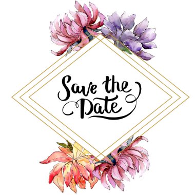 Sulu boya renkli aster çiçek. Botanik çiçek. Çerçeve kenarlığı süsleme Meydanı. Arka plan, doku, sarıcı desen, çerçeve veya kenarlık için Aquarelle kır çiçeği.