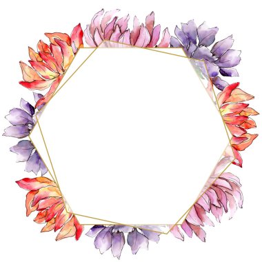 Sulu boya renkli aster çiçek. Botanik çiçek. Çerçeve kenarlığı süsleme Meydanı. Arka plan, doku, sarıcı desen, çerçeve veya kenarlık için Aquarelle kır çiçeği.