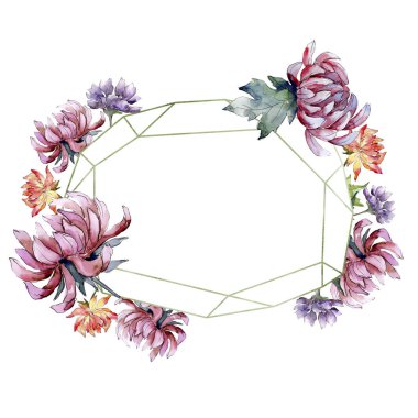 Sulu boya renkli aster çiçek. Botanik çiçek. Çerçeve kenarlığı süsleme Meydanı. Arka plan, doku, sarıcı desen, çerçeve veya kenarlık için Aquarelle kır çiçeği.