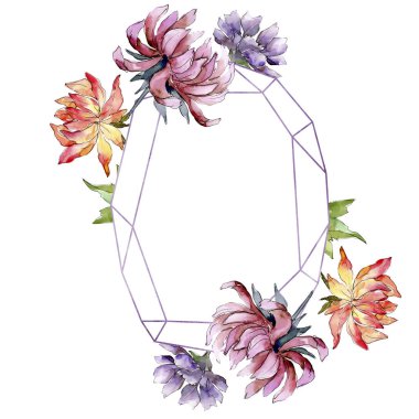 Sulu boya renkli aster çiçek. Botanik çiçek. Çerçeve kenarlığı süsleme Meydanı. Arka plan, doku, sarıcı desen, çerçeve veya kenarlık için Aquarelle kır çiçeği.