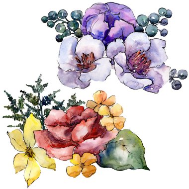 Sulu boya renkli buket çiçek. Botanik çiçek. İzole illüstrasyon öğesi. Arka plan, doku, sarıcı desen, çerçeve veya kenarlık için Aquarelle kır çiçeği.