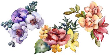 Sulu boya renkli buket çiçek. Botanik çiçek. İzole illüstrasyon öğesi. Arka plan, doku, sarıcı desen, çerçeve veya kenarlık için Aquarelle kır çiçeği.