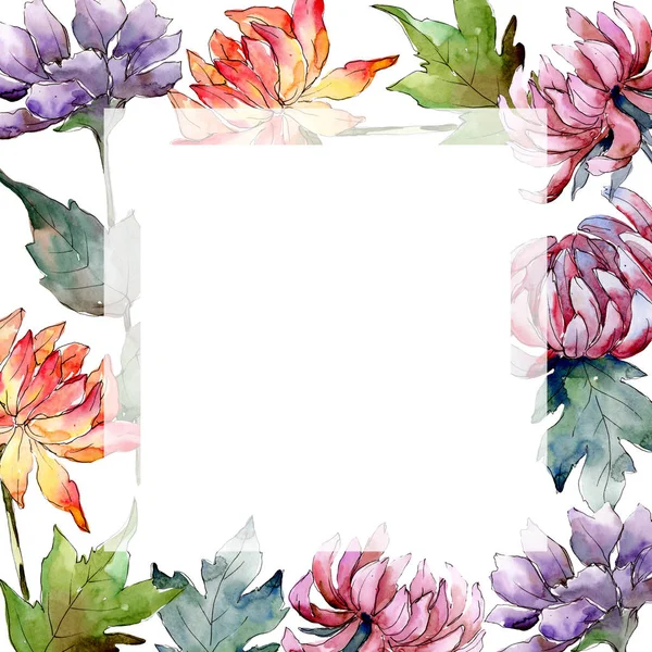 Akvarell Färgglada Aster Blomma Blommig Botaniska Blomma Ram Gränsen Prydnad — Stockfoto