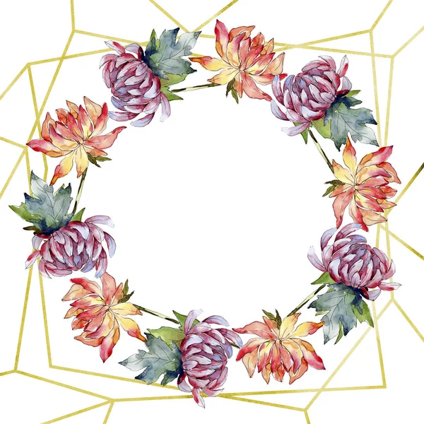 Akwarela Aster Kolorowy Kwiat Botaniczny Kwiat Kwiatowy Ramki Granicznej Ornament — Zdjęcie stockowe
