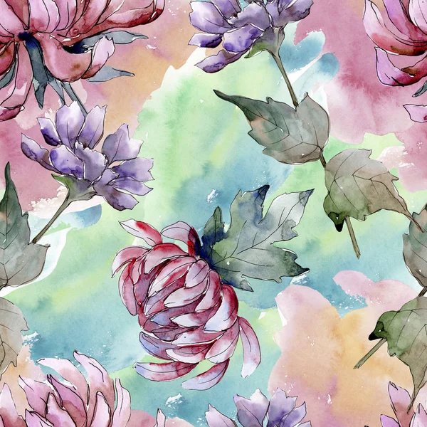 Acquerello Colorato Fiore Aster Fiore Botanico Floreale Modello Sfondo Senza — Foto Stock