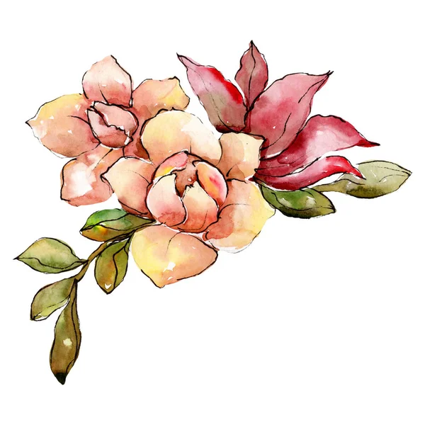 Акварель Красочный Букет Цветок Цветочный Ботанический Цветок Изолированный Элемент Иллюстрации — стоковое фото