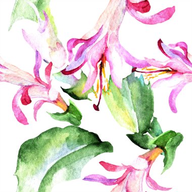 Sulu boya pembe kaktüsler çiçek. Botanik çiçek. Sorunsuz arka plan deseni. Kumaş duvar kağıdı yazdırma doku. Arka plan, doku, sarıcı desen, çerçeve veya kenarlık için Aquarelle kır çiçeği.