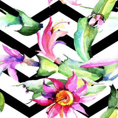 Sulu boya pembe kaktüsler çiçek. Botanik çiçek. Sorunsuz arka plan deseni. Kumaş duvar kağıdı yazdırma doku. Arka plan, doku, sarıcı desen, çerçeve veya kenarlık için Aquarelle kır çiçeği.