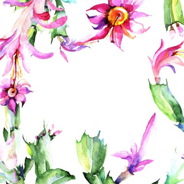 Sulu boya pembe kaktüsler çiçek. Botanik çiçek. Çerçeve kenarlığı süsleme Meydanı. Arka plan, doku, sarıcı desen, çerçeve veya kenarlık için Aquarelle kır çiçeği.