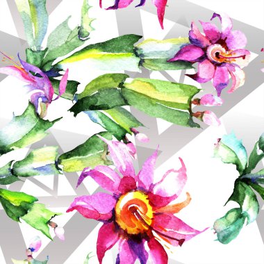 Sulu boya pembe kaktüsler çiçek. Botanik çiçek. Sorunsuz arka plan deseni. Kumaş duvar kağıdı yazdırma doku. Arka plan, doku, sarıcı desen, çerçeve veya kenarlık için Aquarelle kır çiçeği.