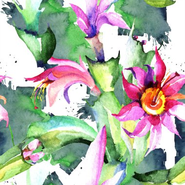 Sulu boya pembe kaktüsler çiçek. Botanik çiçek. Sorunsuz arka plan deseni. Kumaş duvar kağıdı yazdırma doku. Arka plan, doku, sarıcı desen, çerçeve veya kenarlık için Aquarelle kır çiçeği.