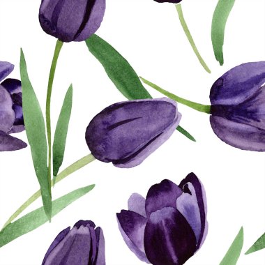 Suluboya Siyah Lale çiçek. Botanik çiçek. Sorunsuz arka plan deseni. Kumaş duvar kağıdı yazdırma doku. Arka plan, doku, sarıcı desen, çerçeve veya kenarlık için Aquarelle kır çiçeği.