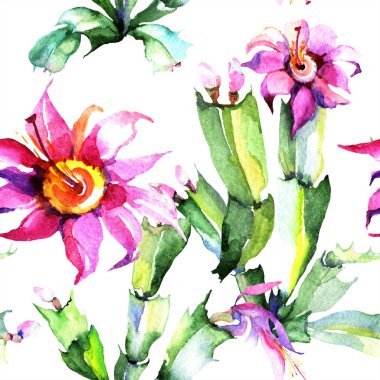 Sulu boya pembe kaktüsler çiçek. Botanik çiçek. Sorunsuz arka plan deseni. Kumaş duvar kağıdı yazdırma doku. Arka plan, doku, sarıcı desen, çerçeve veya kenarlık için Aquarelle kır çiçeği.