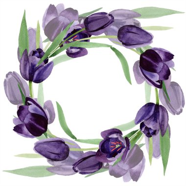 Suluboya Siyah Lale çiçek. Botanik çiçek. Çerçeve kenarlığı süsleme Meydanı. Arka plan, doku, sarıcı desen, çerçeve veya kenarlık için Aquarelle kır çiçeği.