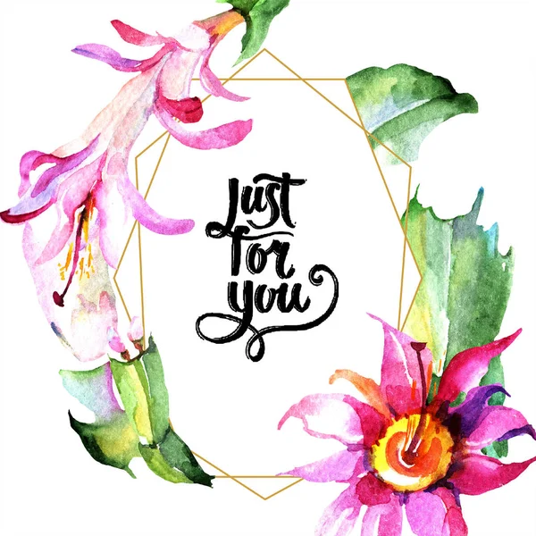 Sulu boya pembe kaktüsler çiçek. Botanik çiçek. Çerçeve kenarlığı süsleme Meydanı. Arka plan, doku, sarıcı desen, çerçeve veya kenarlık için Aquarelle kır çiçeği.