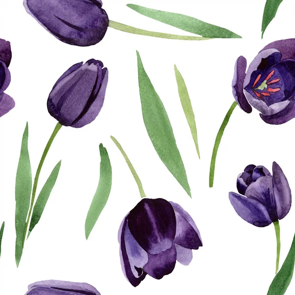Suluboya Siyah Lale çiçek. Botanik çiçek. Sorunsuz arka plan deseni. Kumaş duvar kağıdı yazdırma doku. Arka plan, doku, sarıcı desen, çerçeve veya kenarlık için Aquarelle kır çiçeği.