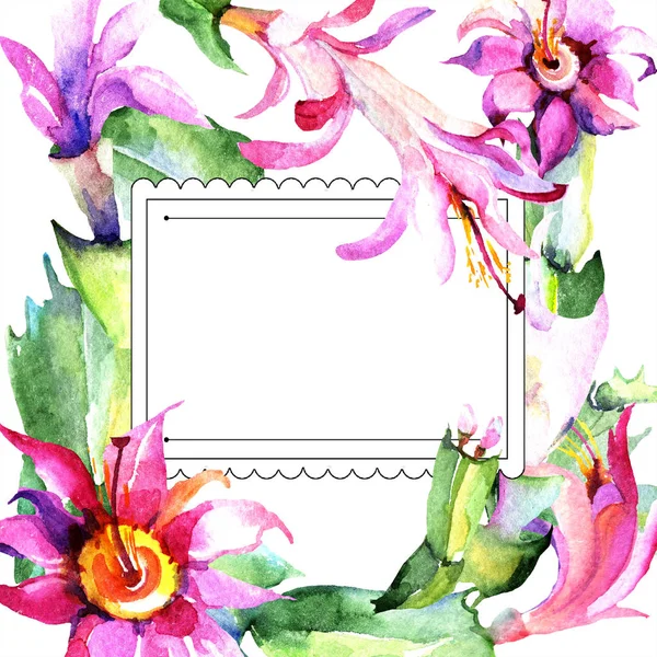 Aquarela Rosa Flor Cactos Floral Flor Botânica Quadro Borda Ornamento — Fotografia de Stock