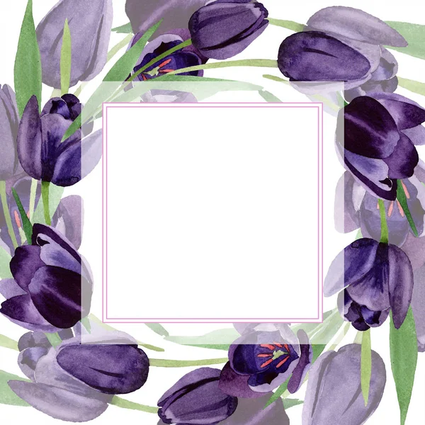 Квітка Акварельних Чорних Тюльпанів Квіткова Ботанічна Квітка Каркасний Бордюрний Орнамент — стокове фото