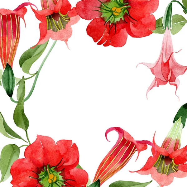 Akvarell Röd Brugmansia Blomma Blommig Botaniska Blomma Ram Gränsen Prydnad — Stockfoto