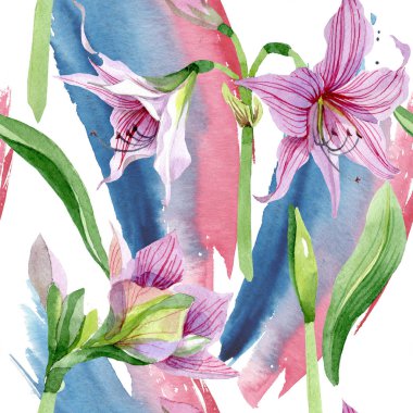 Sulu boya pembe amaryllis çiçek. Botanik çiçek. Sorunsuz arka plan deseni. Kumaş duvar kağıdı yazdırma doku. Arka plan, doku, sarıcı desen, çerçeve veya kenarlık için Aquarelle kır çiçeği.