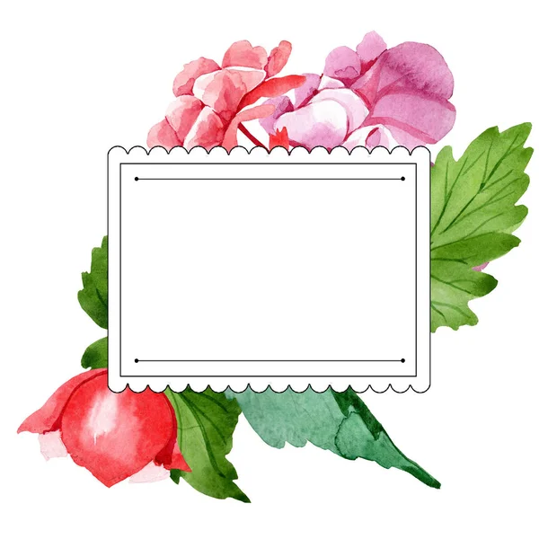 Flor Begonia Rosa Aquarela Floral Flor Botânica Quadro Borda Ornamento — Fotografia de Stock