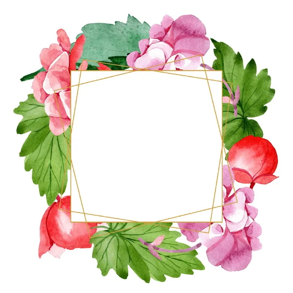 Watercolor Pink Begonia Flower Floral Botanical Flower Frame Border Ornament — Stock Photo, Image