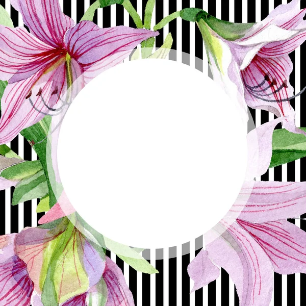 Акварель Рожева Квітка Ампарли Квіткова Ботанічна Квітка Каркасний Бордюрний Орнамент — стокове фото