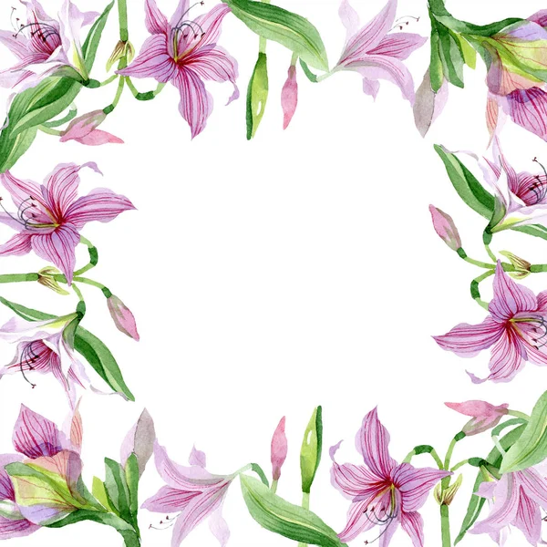 水彩ピンク アマリリスの花です 花植物の花 フレーム枠飾りスクエア テクスチャ ラッパー パターン フレームや境界線の Aquarelle ワイルドフラワー — ストック写真