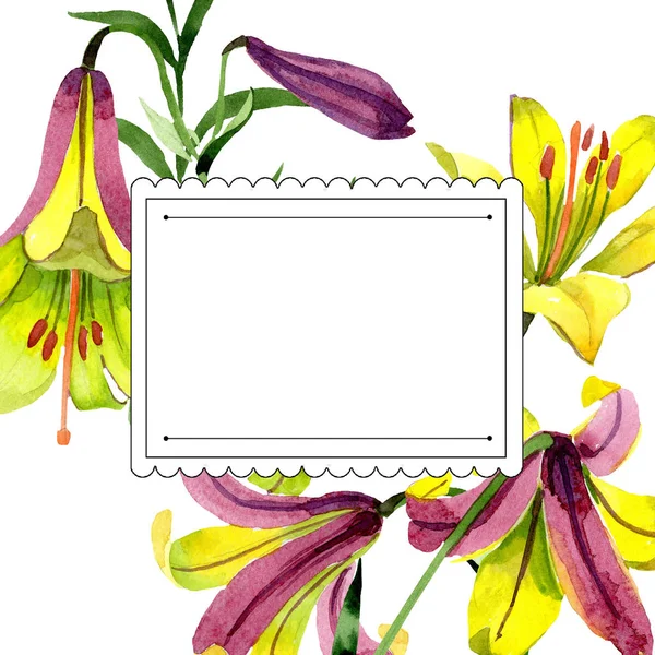 Flor Lírio Amarelo Aquarela Floral Flor Botânica Quadro Borda Ornamento — Fotografia de Stock