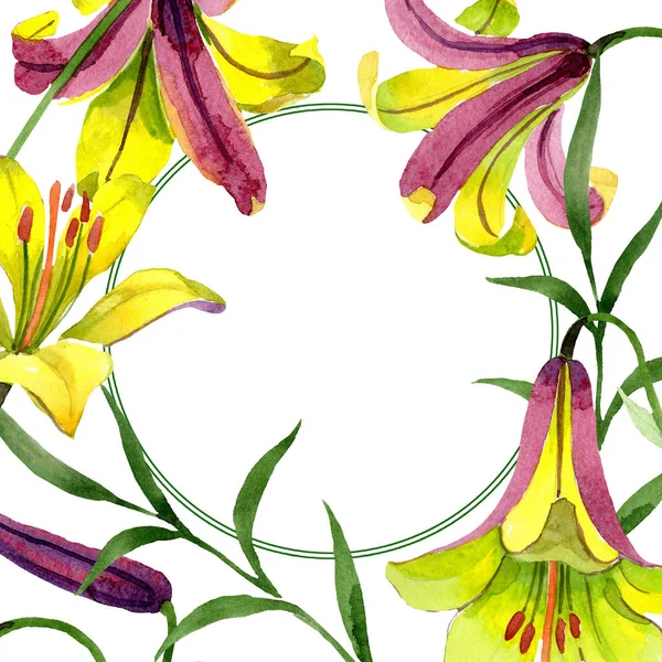 Akvarell Gul Lilja Blomma Blommig Botaniska Blomma Ram Gränsen Prydnad — Stockfoto
