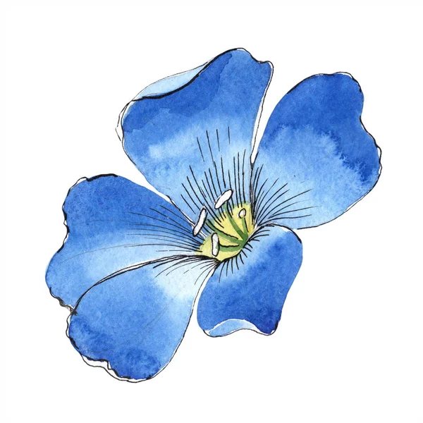 Flor Linho Azul Aquarela Floral Flor Botânica Isolado Elemento Ilustração — Fotografia de Stock