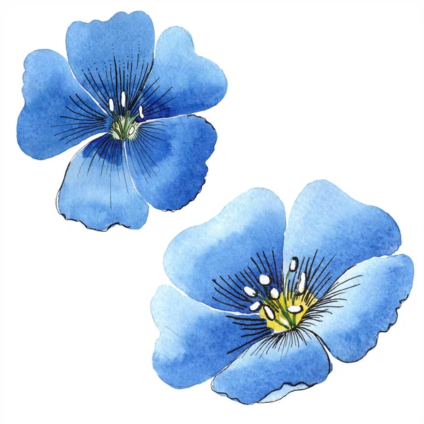 Acquerello Fiore Lino Blu Fiore Botanico Floreale Elemento Illustrazione Isolato — Foto Stock