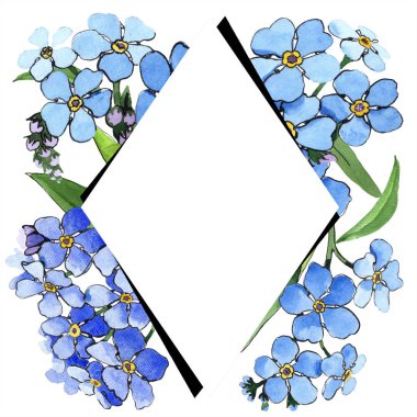 Suluboya mavi unutma çiçek. Botanik çiçek. Çerçeve kenarlığı süsleme Meydanı. Arka plan, doku, sarıcı desen, çerçeve veya kenarlık için Aquarelle kır çiçeği.