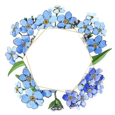 Suluboya mavi unutma çiçek. Botanik çiçek. Çerçeve kenarlığı süsleme Meydanı. Arka plan, doku, sarıcı desen, çerçeve veya kenarlık için Aquarelle kır çiçeği.