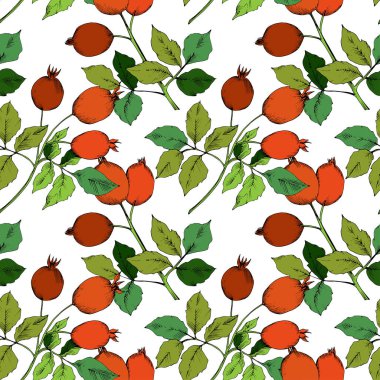 Vektör sonbahar kırmızı Kuşburnu bitkisi. Botanik Bahçe çiçek bitki örtüsü bitki. Sorunsuz arka plan deseni. Arka plan, doku, sarıcı desen, çerçeve veya sınır vektör yaprak.