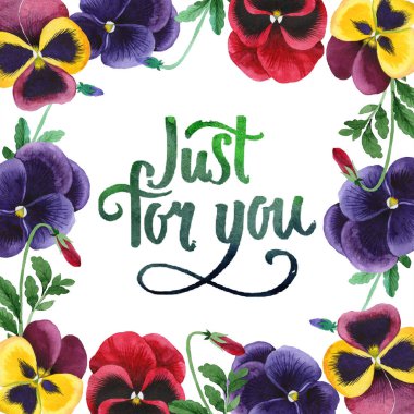 Sulu boya renkli viola çiçek. Botanik çiçek. Çerçeve kenarlığı süsleme Meydanı.