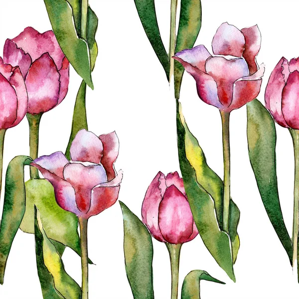 Acuarela flor de tulipán rosa. Flor botánica floral. Patrón de fondo sin costuras . — Foto de Stock