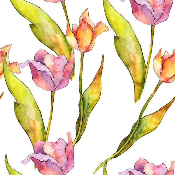 Akwarela tulipan różowy kwiat. Botaniczny kwiat kwiatowy. Bezszwowe tło wzór. — Zdjęcie stockowe