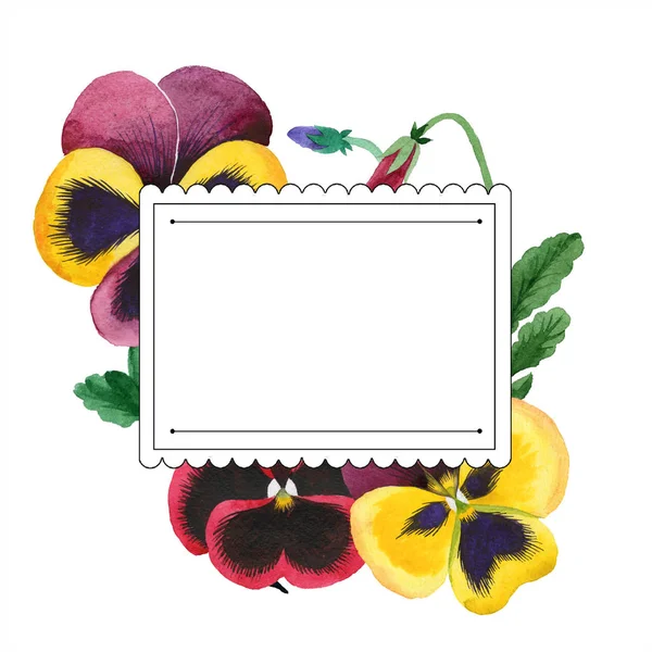 Aquarela flor viola colorido. Floral flor botânica. Quadro borda ornamento quadrado . — Fotografia de Stock