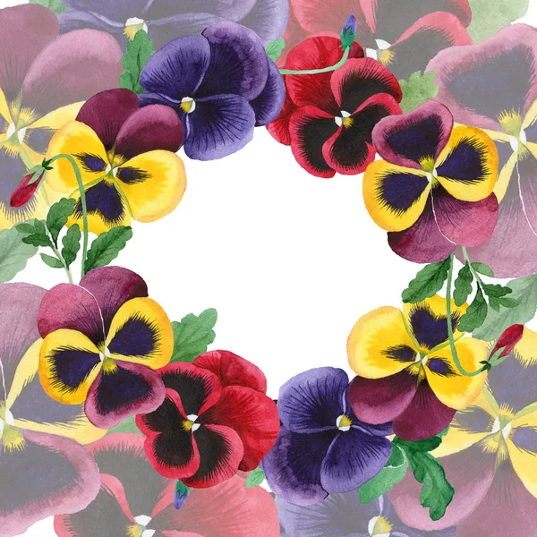 Aquarel kleurrijke altviool bloem. Floral botanische bloem. Frame grens ornament vierkant. — Stockfoto