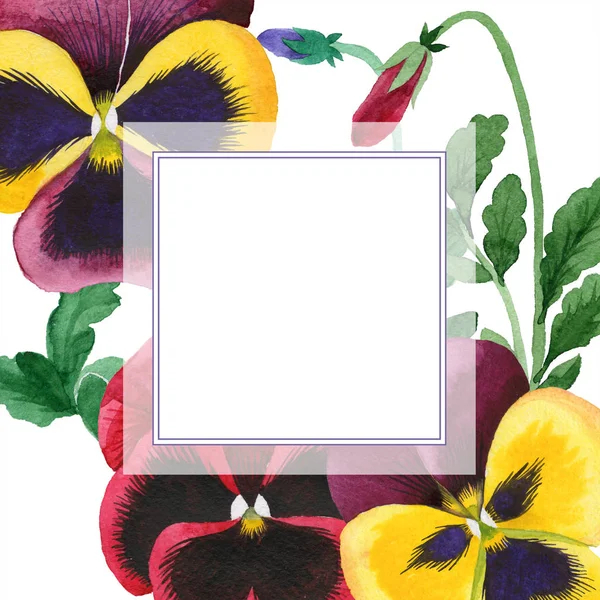Aquarela flor viola colorido. Floral flor botânica. Quadro borda ornamento quadrado . — Fotografia de Stock