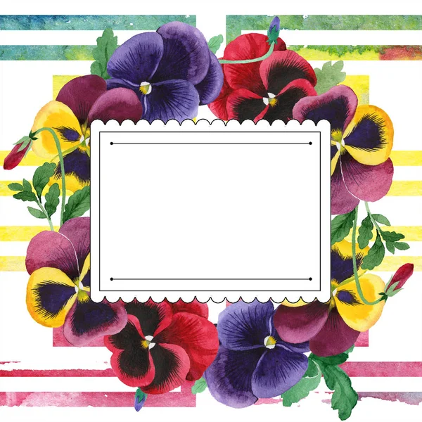 Aquarel kleurrijke altviool bloem. Floral botanische bloem. Frame grens ornament vierkant. — Stockfoto